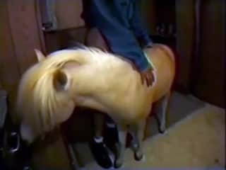 Woman and Horse: A Forbidden Encounter