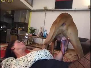 Woman and Dog: A Forbidden Meeting