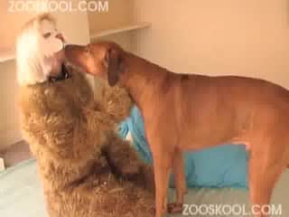 Canine Libido: A New Start for a Renewed Sex Life