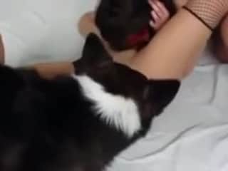 Lesbian women share naughty webcam with dog