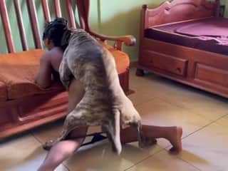 Fucking my female dog Lady Zoe - Zootaboo