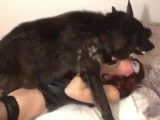 Ladywolf: A Bestial and Sensual Experience