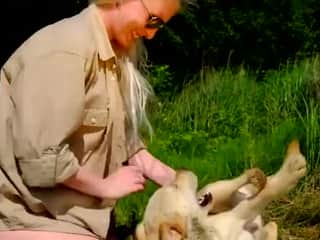 Djursex Zoophilia Videos of Whore Sucks Dog