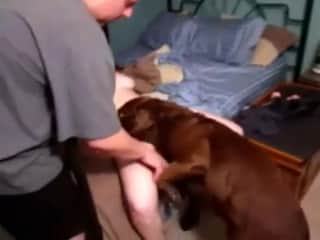 Amateur woman introduced to dog sex