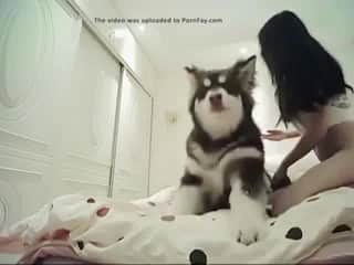 Banned video: Sex with a dog