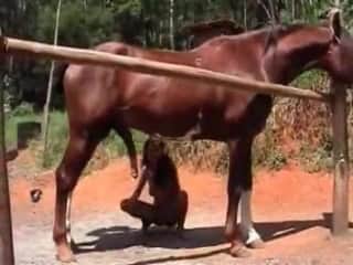 Ferocious stallion and a Hispanic actress