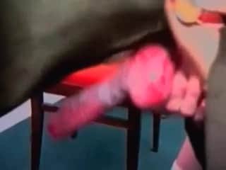 A wild animal is experiencing intense sexual activity