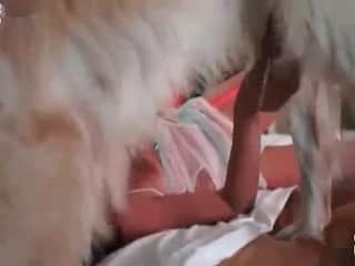Gentle bird has her privates fondled by a dog