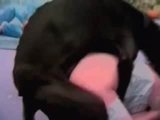 Incredible dog and a beautiful model