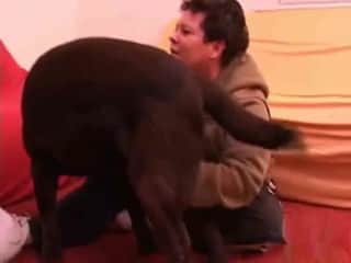 Timid black puppy and large-breasted zoophile