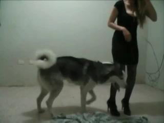 Filthy tactics of this huge dog