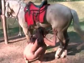 A lovely model is stimulating a stallion's member