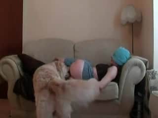 A desire-filled woman is engaging in sexual activity with a puppy