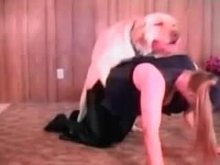 Filthy deviant is satisfying this large dog